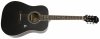 Epiphone Songmaker DR-100 Square Shoulder EB Ebony
